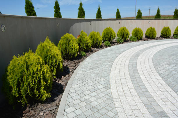 Best Custom Driveway Pavers  in Adel, IA